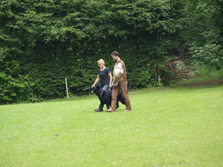 Sauerlandpokalkampf 2013 in Attendorn