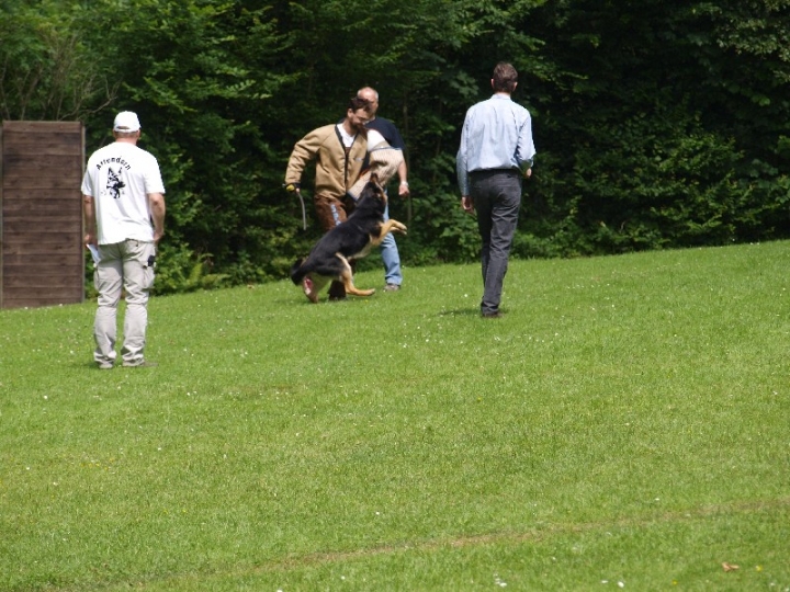 Sauerlandpokalkampf 2013 in Attendorn