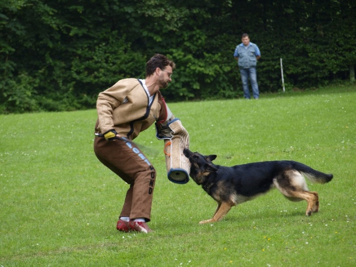 Sauerlandpokalkampf 2013 in Attendorn