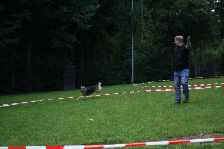 Longieren in der OG Attendorn