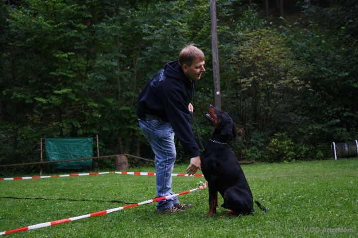 Longieren in der OG Attendorn