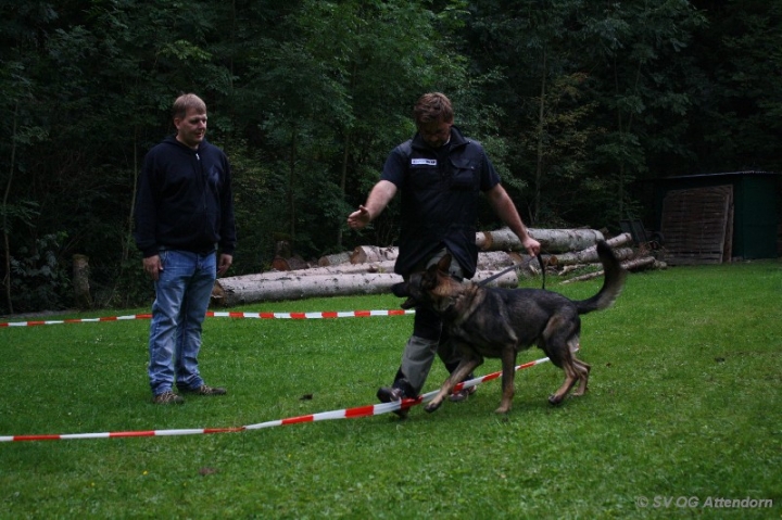 Longieren in der OG Attendorn