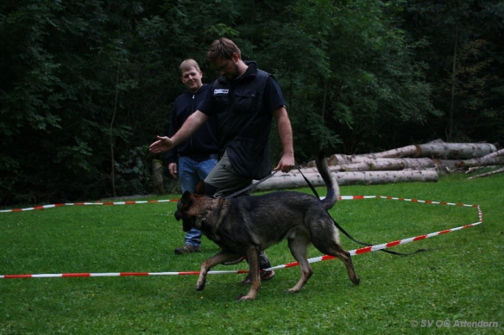 Longieren in der OG Attendorn