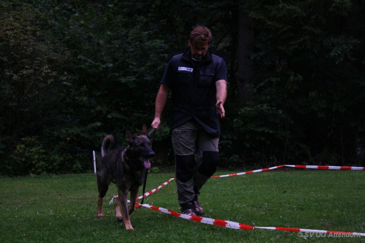 Longieren in der OG Attendorn