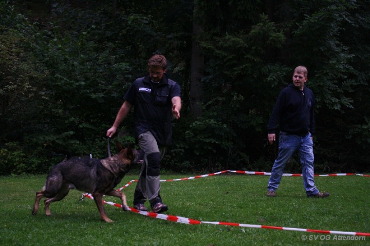 Longieren in der OG Attendorn