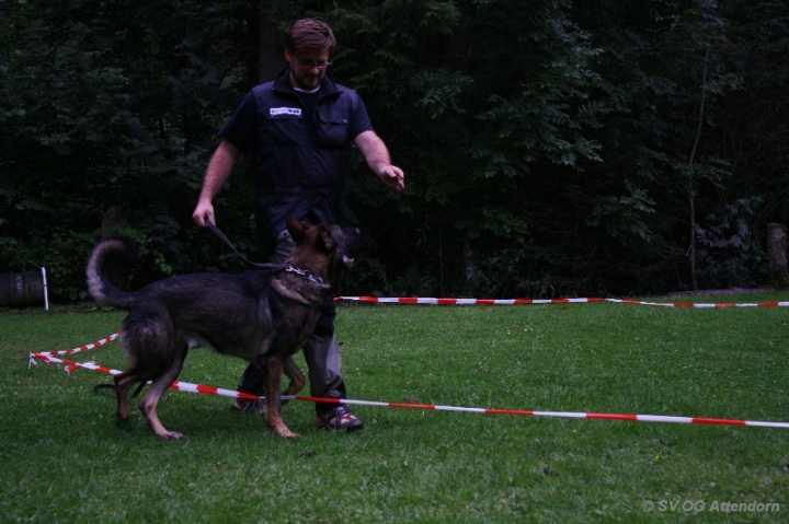 Longieren in der OG Attendorn