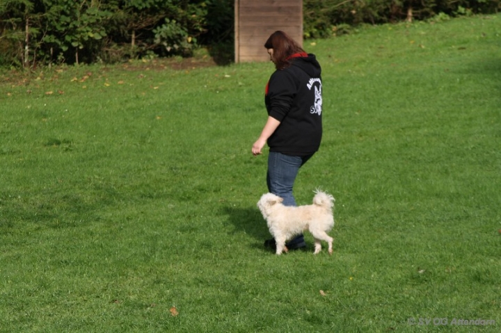 BH-Fun-Turnier 2013