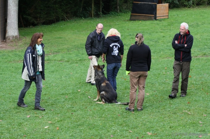 BH-Fun-Turnier 2013