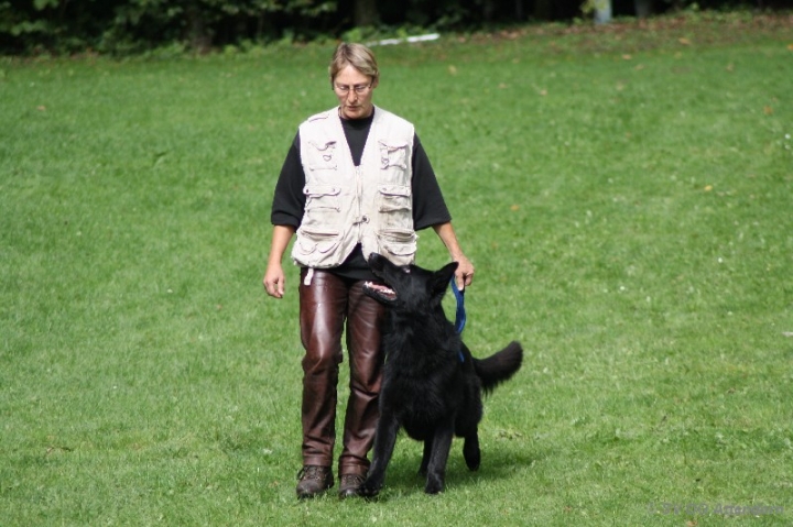 BH-Fun-Turnier 2013