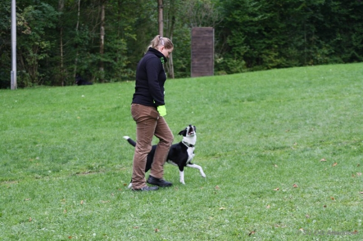 BH-Fun-Turnier 2013