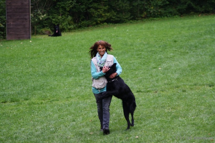 BH-Fun-Turnier 2013