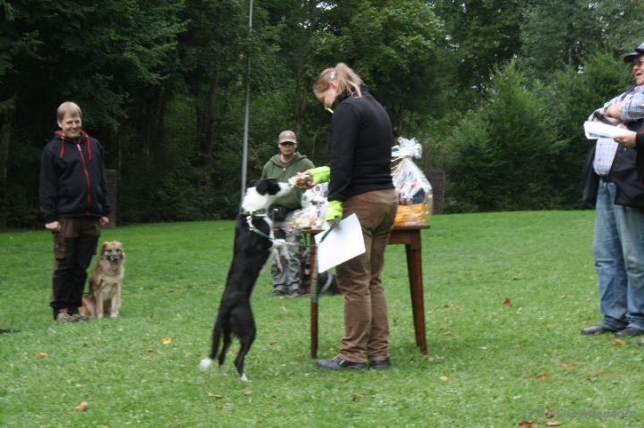 BH-Fun-Turnier 2013