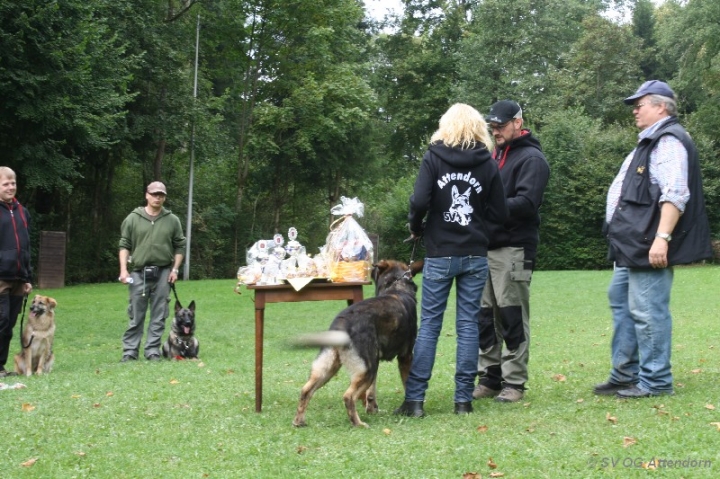 BH-Fun-Turnier 2013