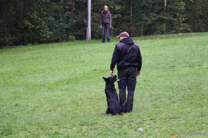 Herbstprüfung 2013