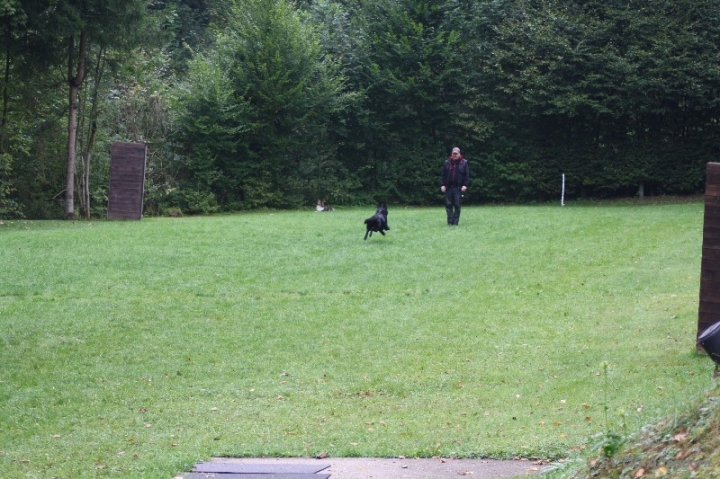Herbstprüfung 2013