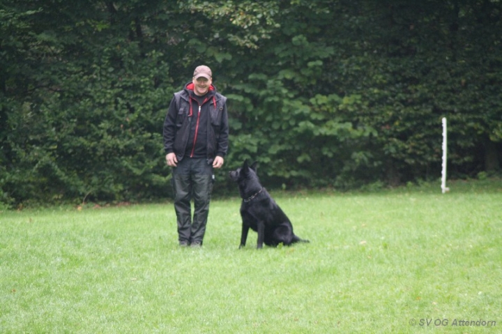 Herbstprüfung 2013
