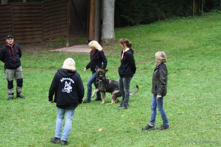 Herbstprüfung 2013