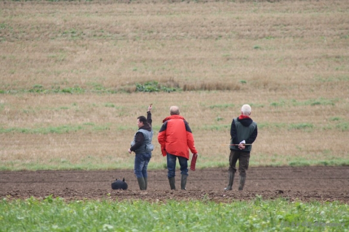 Herbstprüfung 2013