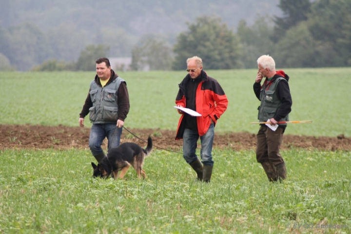 Herbstprüfung 2013