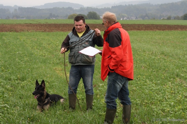 Herbstprüfung 2013